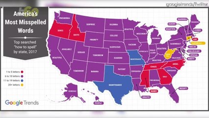 Google Points Out How Americans Can't Spell, Then Misspells This Word