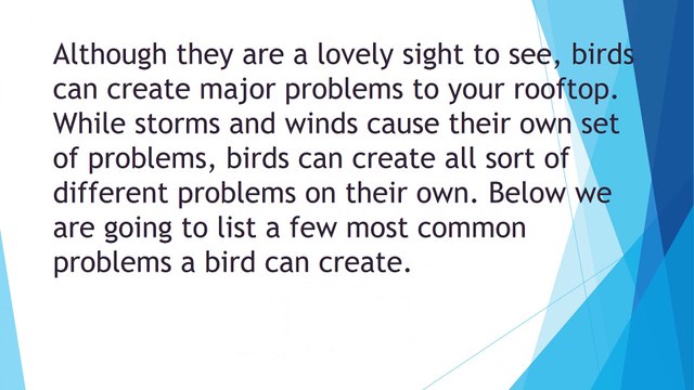 South Shore Roofing Richmond Hill GA