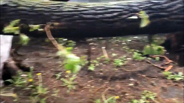 Russie frappé par la tempête la plus meurtrière depuis plus de 100 ans