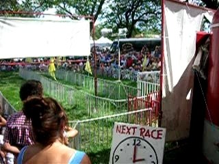 la course aux cochons