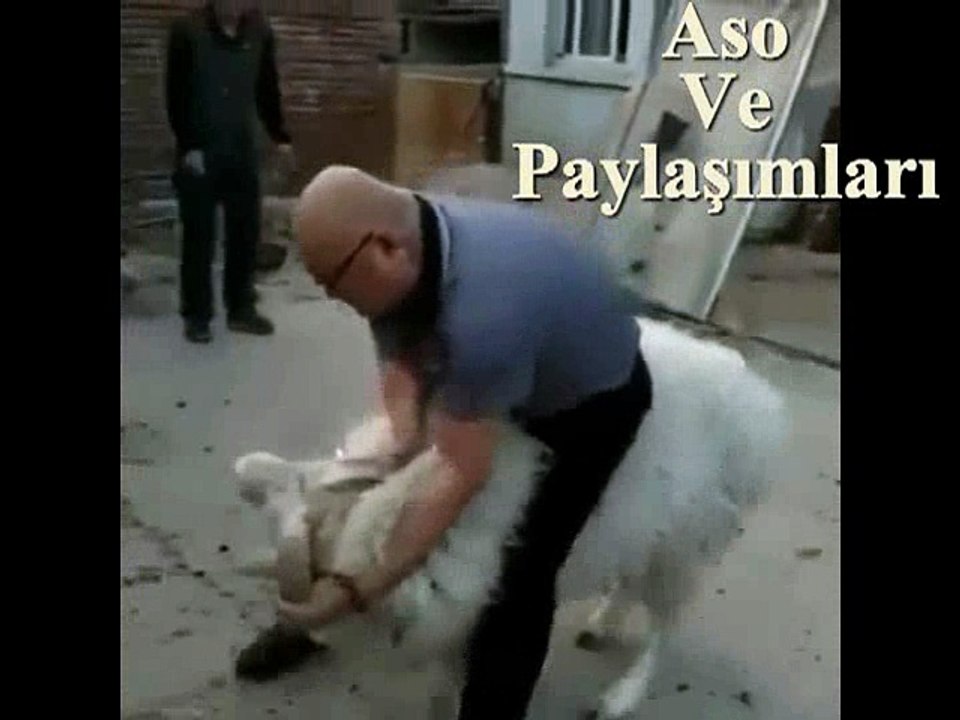 Kürtçe Komik Dublaj Kuro Mın berde Süper.Aso ve Paylaşımaları