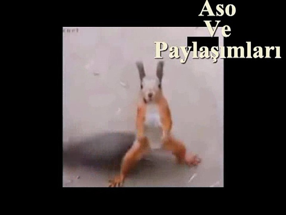 Böyle Halay Yok Civciv halayı.Aso ve Paylaşımları