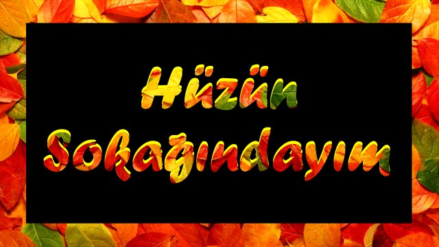 Şair Yazar Enver ÖZEL'in Hüzün Sokağındayım Şiiri