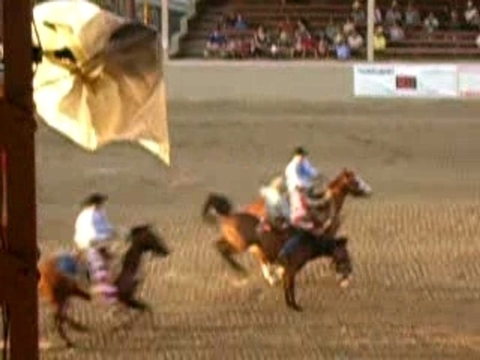 rodéo,rodéo
