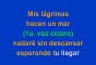Enrique Iglesias - Si Tú Te Vas (Karaoke)