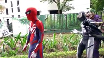 Spiderman SAW Colorful Giant SNAKE Attack in Jungle!!! Superheroes Joker Children Action Movies