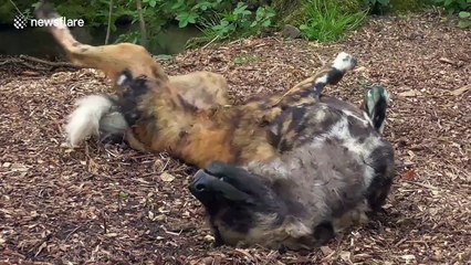 When you've got an itch you can't scratch