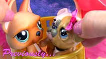 LPS Marry Me Mommies Part 54 Littlest Pet Shop Series Video Movie LPS Mom Babies Cookieswi