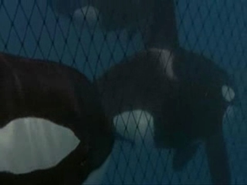 Tribute to Keiko