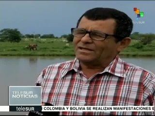 Producción comunal impulsa la actividad económica en Táchira