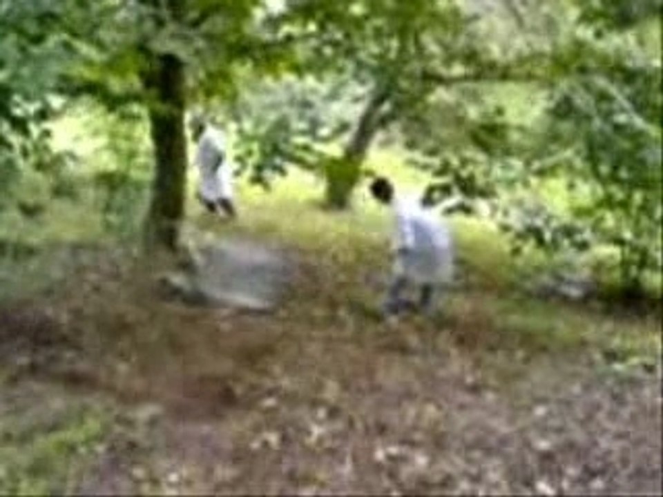 Jackass à freyssinet