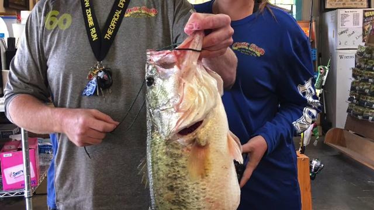 Fisherman Makes Record Catch Using McDonald's Chicken McNugget