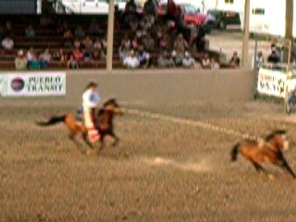 le cowboy qui attrapait les chevaux au lassot