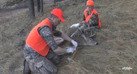 The gutless method of dressing a Deer is the best backcountry skill
