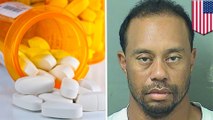 Tiger Woods was asleep at the wheel when cops picked him up