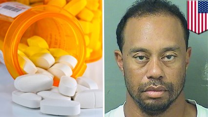 Tiger Woods was asleep at the wheel when cops picked him up