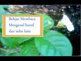 Belajar membaca, lagu abc, mengenal huruf dan suku kata, Bahasa Indonesia