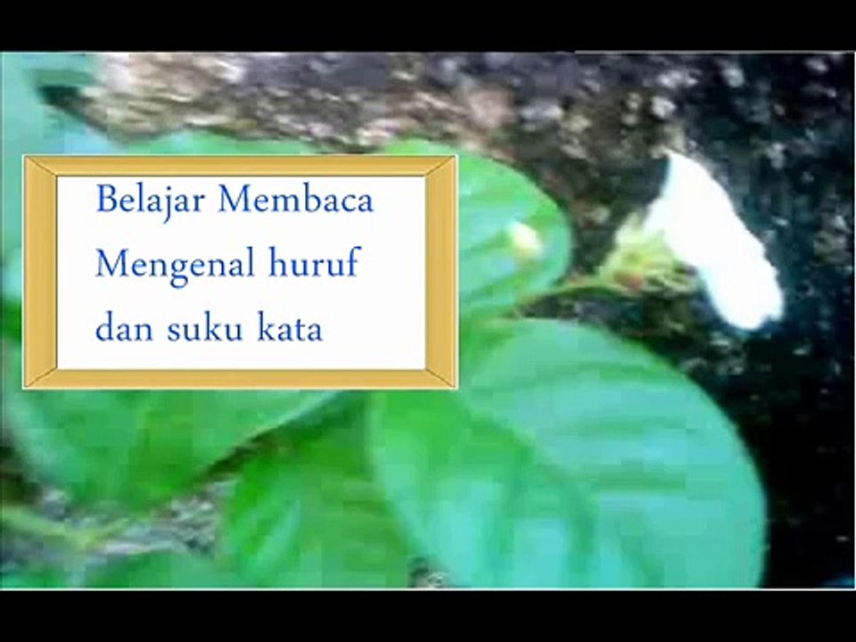 Belajar membaca, lagu abc, mengenal huruf dan suku kata, Bahasa Indonesia