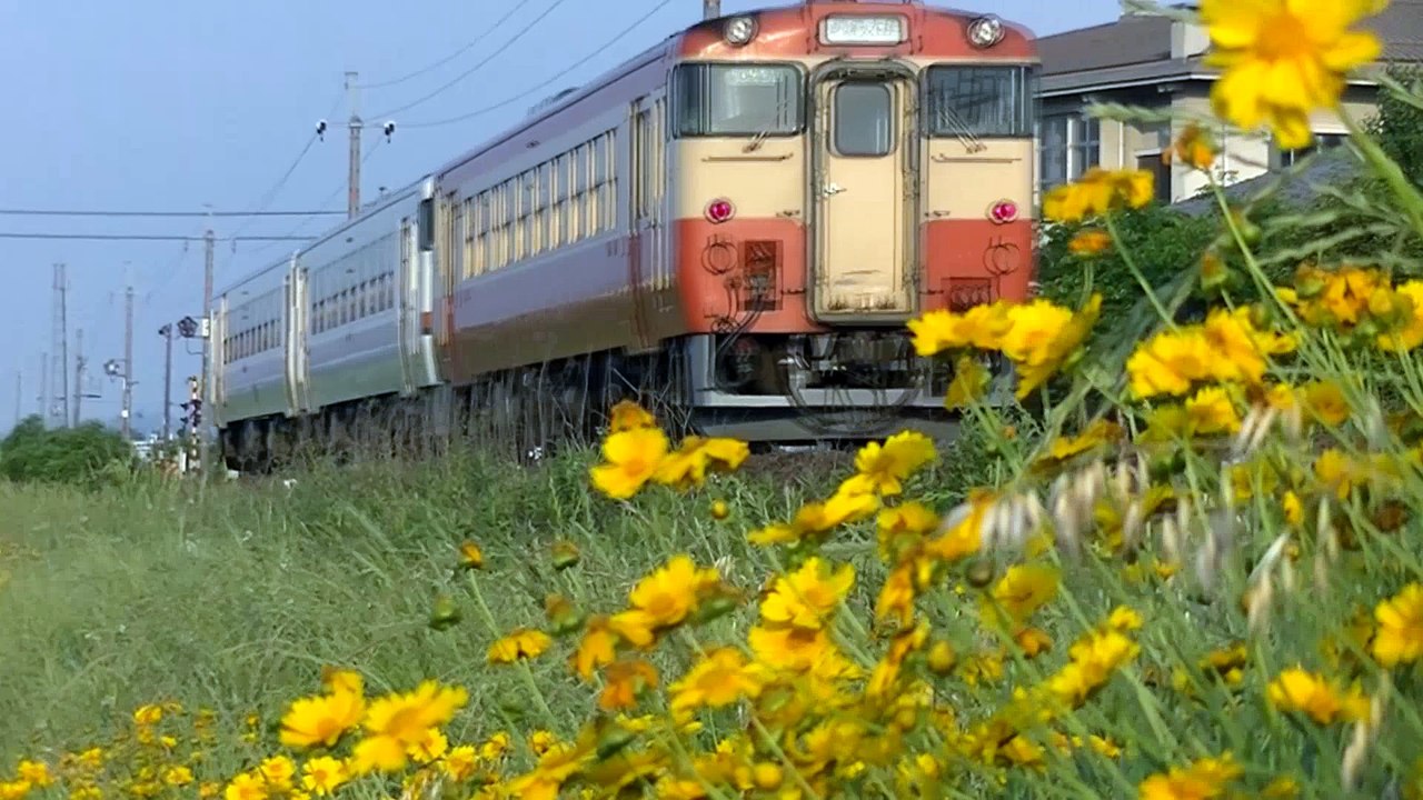 【鉄道PV】とある地域の観光路線-タカヤマセン-