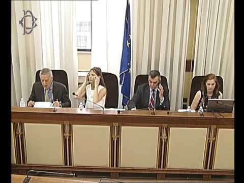 Roma - Fenomeno migratorio, audizione procuratore Roberti (31.05.17)