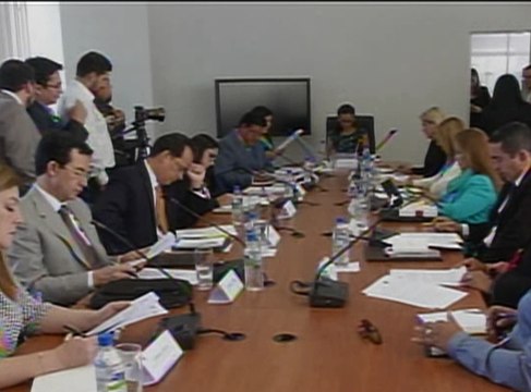 La Asamblea Nacional analiza proyecto de reformas al código de la niñez