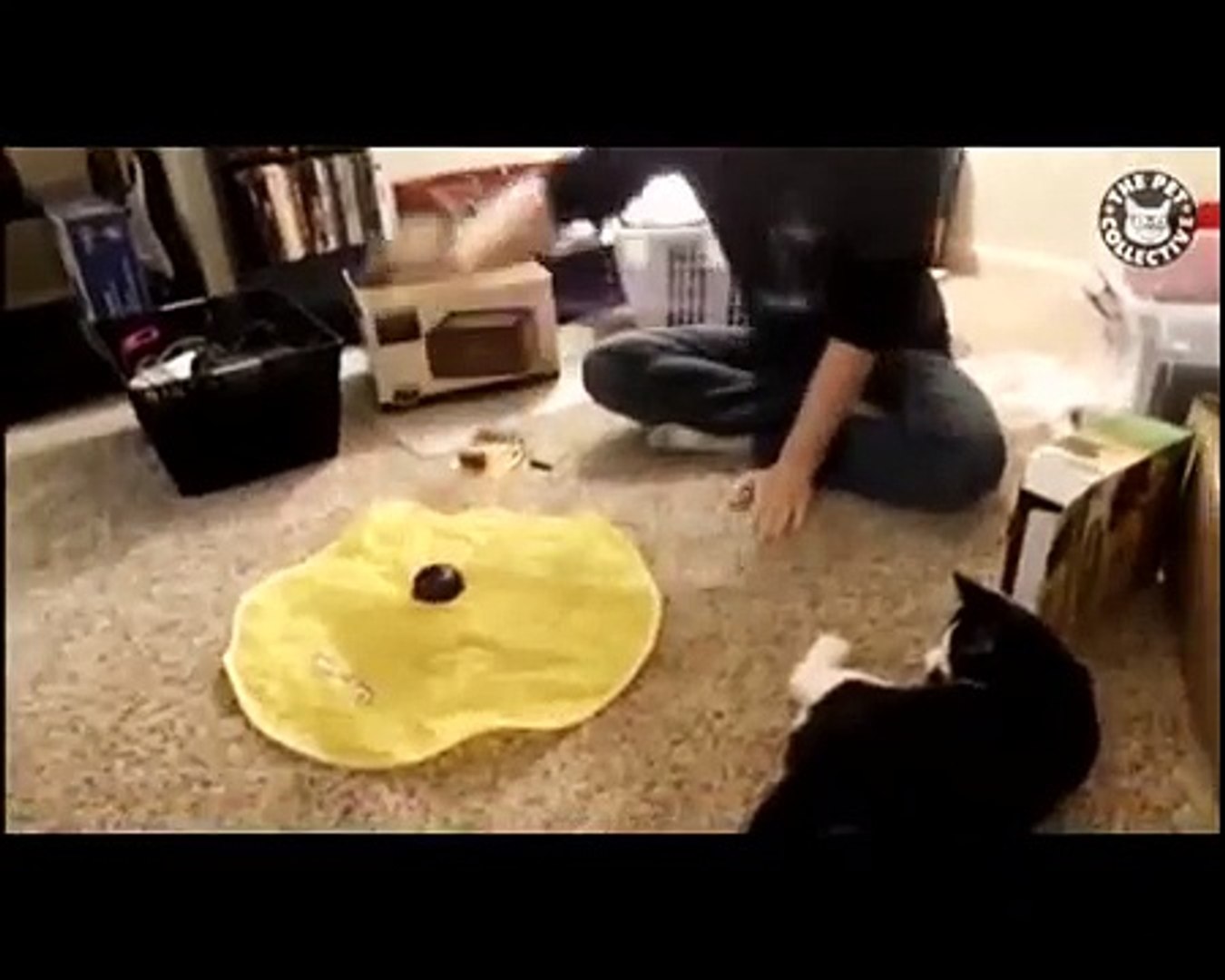⁣Pets vs Technology (Funny Pet)