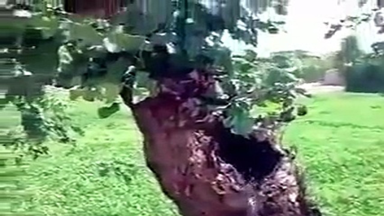 Ye Wo Jagha Hai Jis Ka Zikar Quran Pak Mein Aaya Hai, SubhanAllah