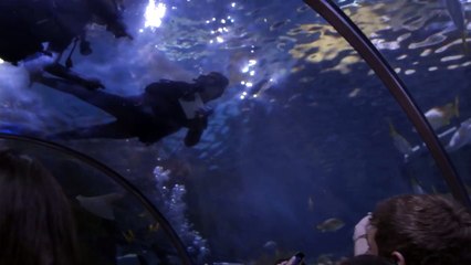 Underwater Wedding Celebration at Audubon Aquarium of Audubon Nature Institute
