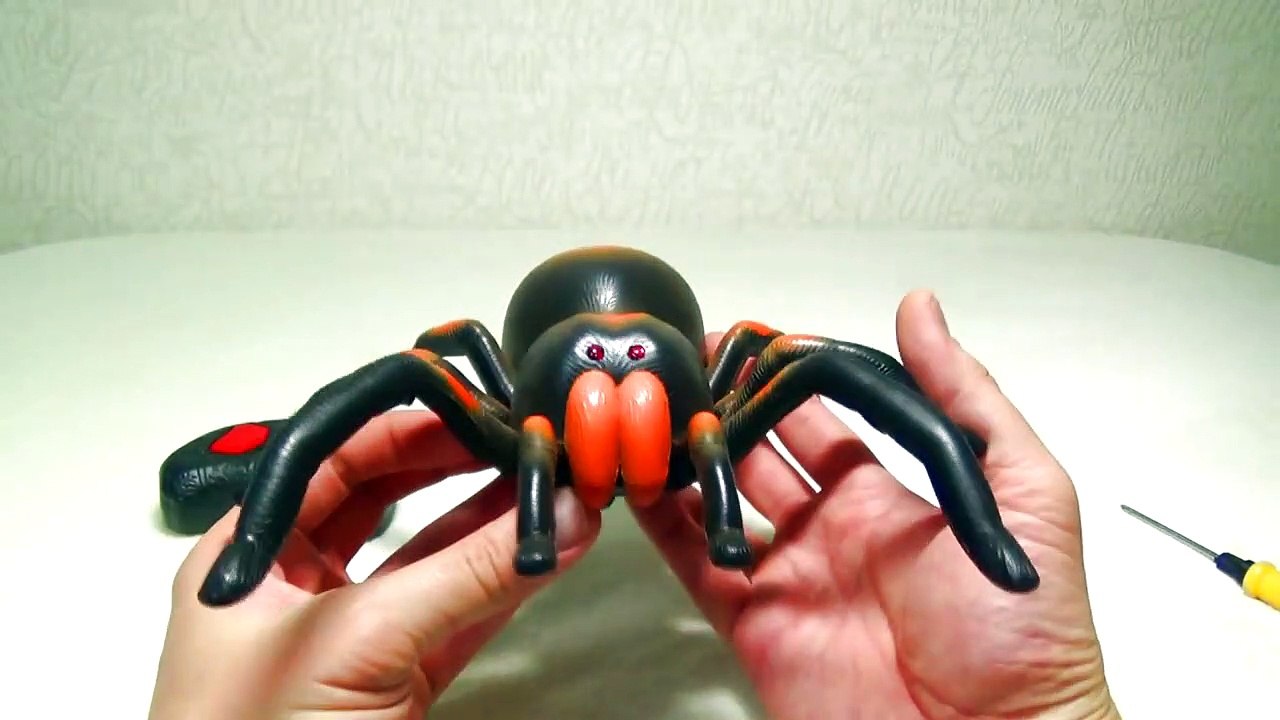 GIANT SPIDER VIDEOS FOR KIDS I Sp234 video Dailymotion