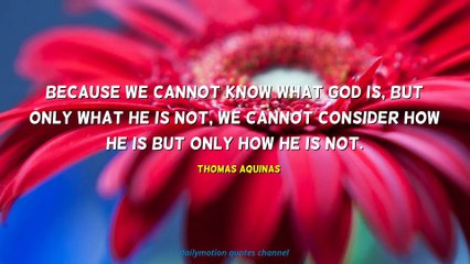Thomas Aquinas Quotes #1