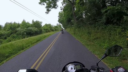 Baby Fawn Bolts in Front of Motorcycle
