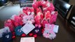 DIY Love Bug Valentines // Fun & Easy Kids Craft for Valentines Day!