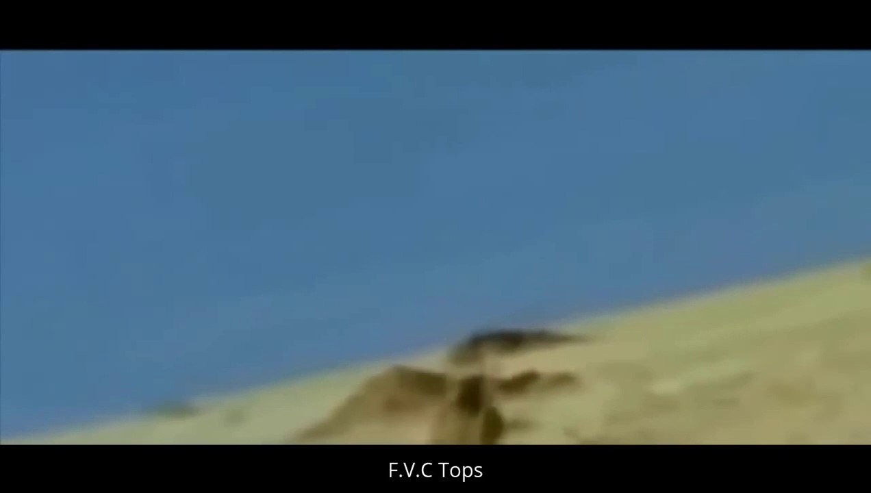 Amazing Predators Fight - Big Battle Animals , Giraffe vs Anaconda, Monkey Attacks Tourist #8