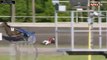 Norvege : Un cheval de course se tue en s'empalant sur une barrière levante
