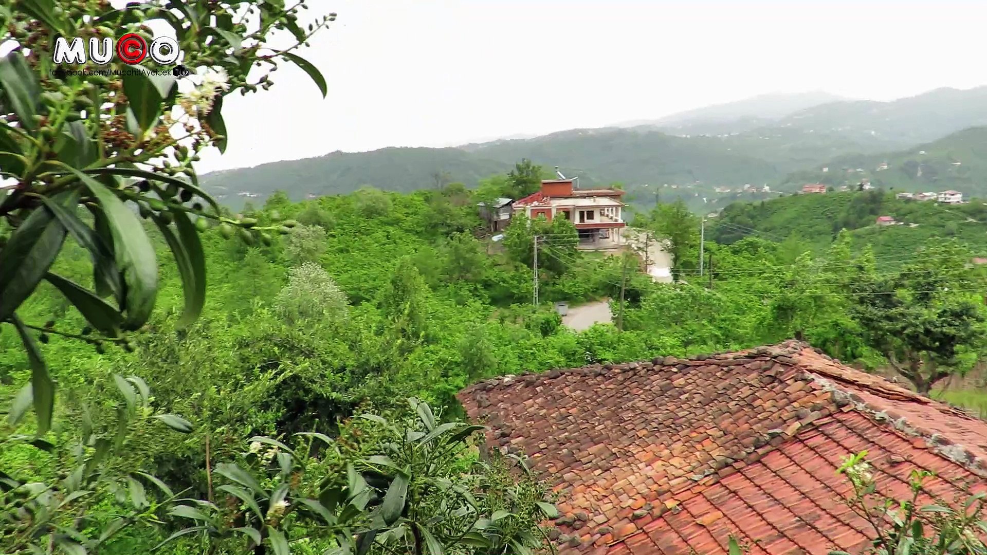 ⁣Yiğitözü Köyü - Karayemiş Dalından Rüzgarlı Köy Manzarası