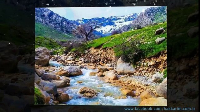 Xecê - Yeni Şarkı Avî / Kürtçe Klip HD