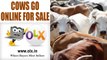 Traders go online for selling cows after cattle sale restriction | Oneindia News