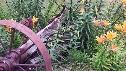 Funeral Homes Roblin