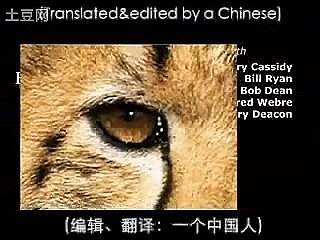 星際政治揭秘會後專訪篇《暢談未來》Project Camelot FutureTalk in Barcelona