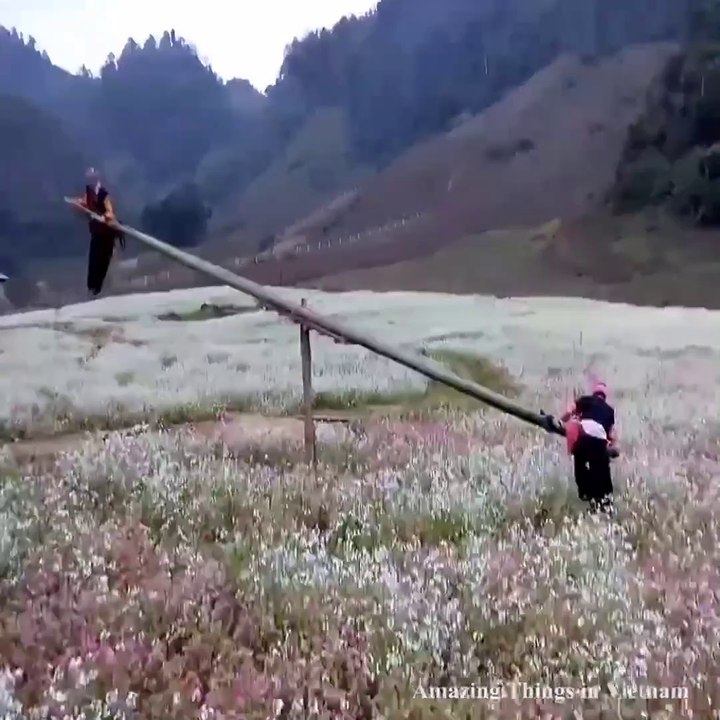 Ce tourniquet géant est dingue