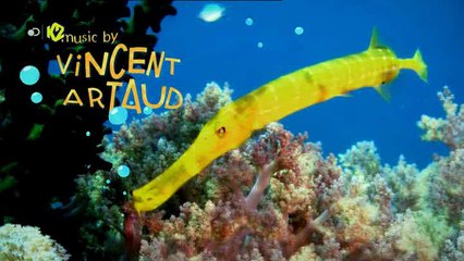 Zig & Sharko ENG - 2°stagione ep 23 - Il Potere Dell'Attrazione - Bocconcini Scelti - Gomma Da Masticare - (st 2 ep 23 di 26)