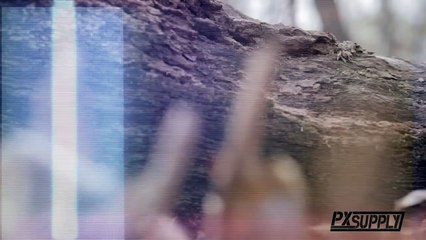 PX Supply - Your Source for Military Gear and Apparel