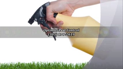 Optimus Pest Control - (305) 879-2619