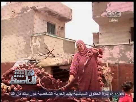 #هنا_العاصمة | نماذج نسائية مصرية مشرفة في يوم المرأة العالمي