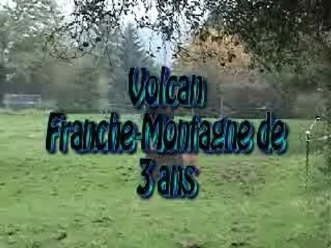 Volcan franche montagne de 3 ans
