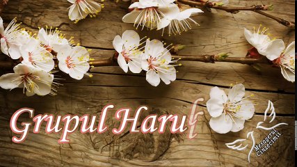 Grupul Harul - Colaj muzica crestina 2017