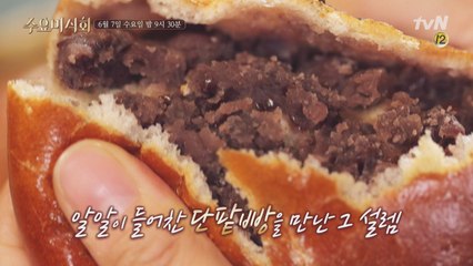 수준급 이상의 '빵'들이 찾아온다!! '빵 2탄'