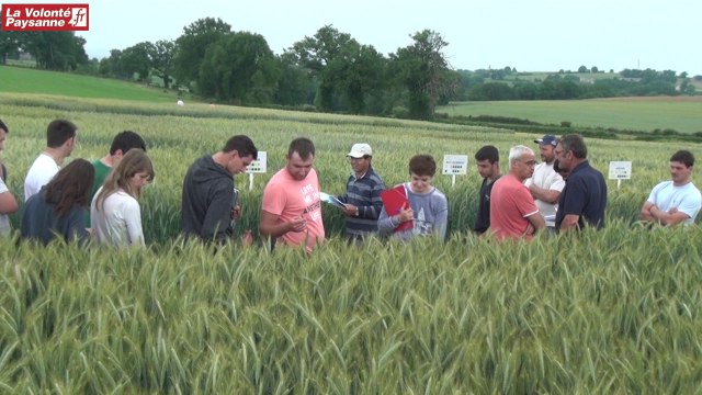 «Essais céréales» plate-forme Arvalis