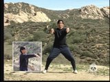 Chi Kung For Health - 2 Standing Meditations (Advanced)