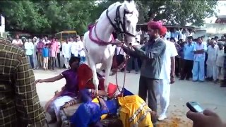 लडकी का घोडे पर सुपरहिट देहाती डांस देखकर मजा आ जायेगा AMAZING DANCE ON HORCE